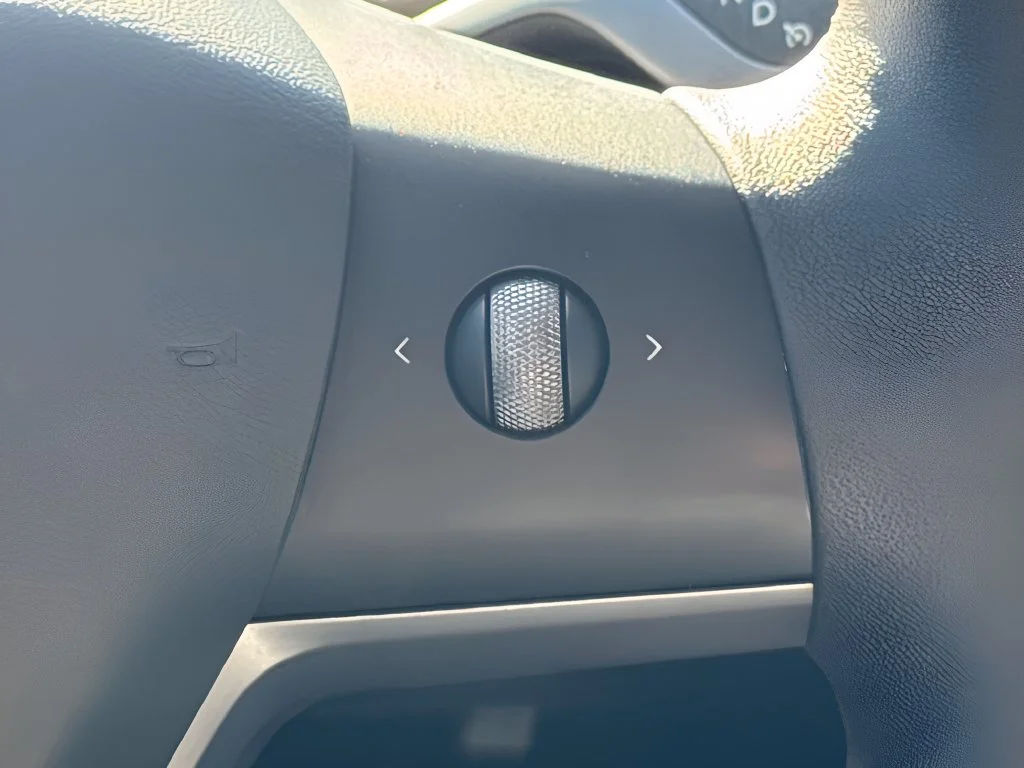 Used 2021 Black Tesla Performance image 17