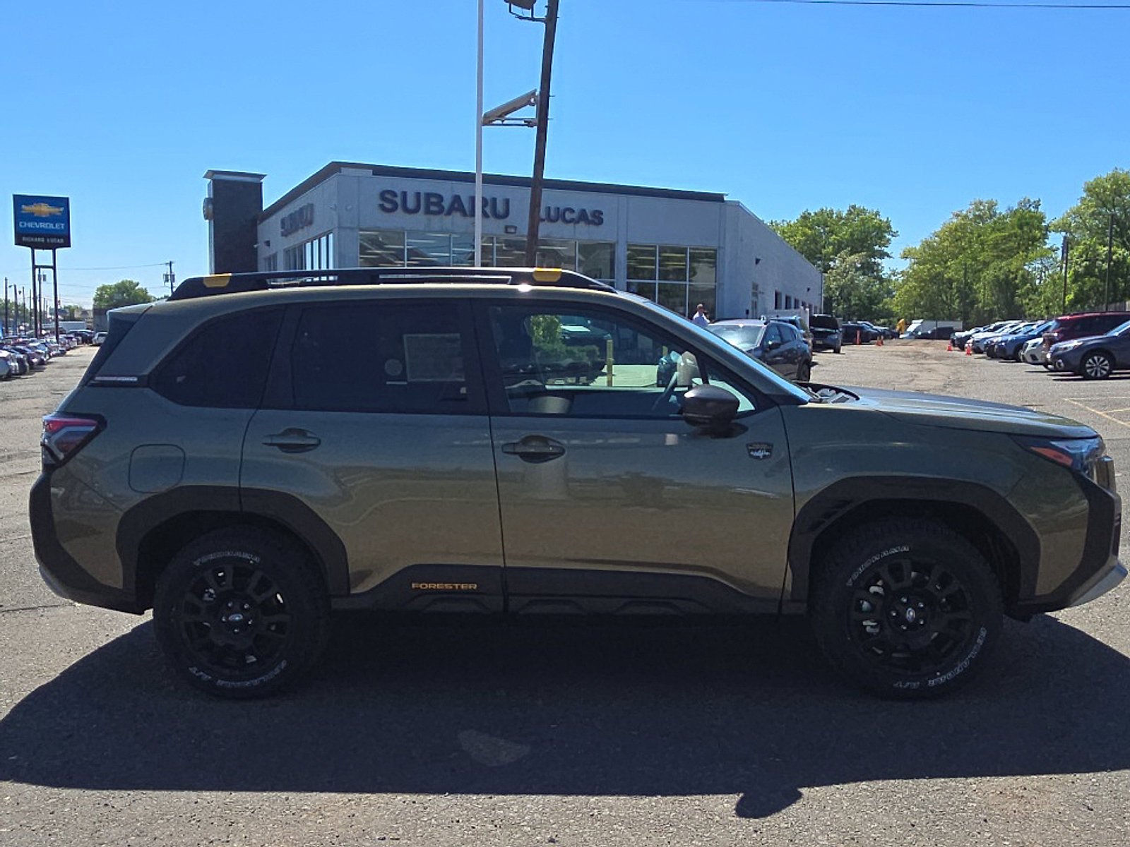 New 2026 AUTUMN GREEN METALLIC Subaru Wilderness image 6
