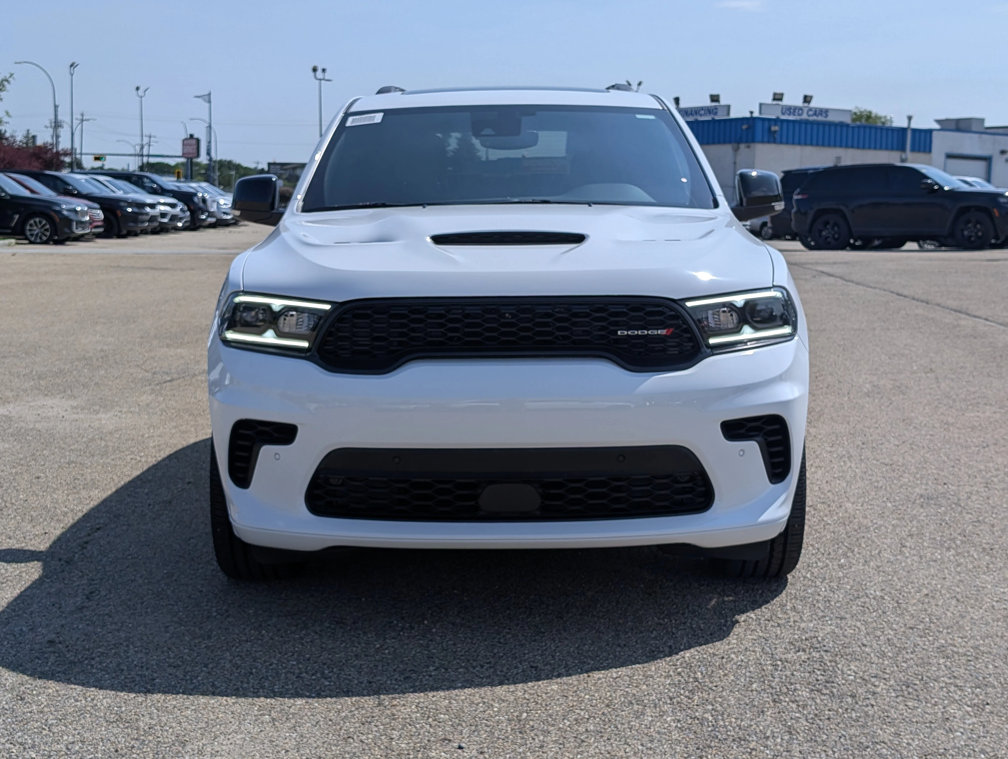 New 2026 White Knuckle Dodge GT HEMI V8 Plus image 10