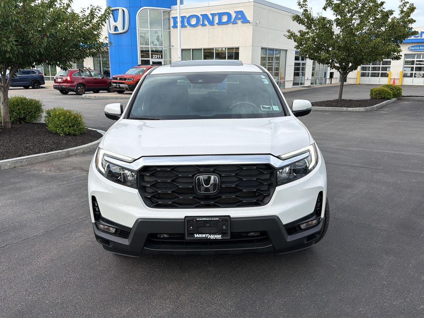 Used 2023 Platinum White Pearl Honda EX-L image 2