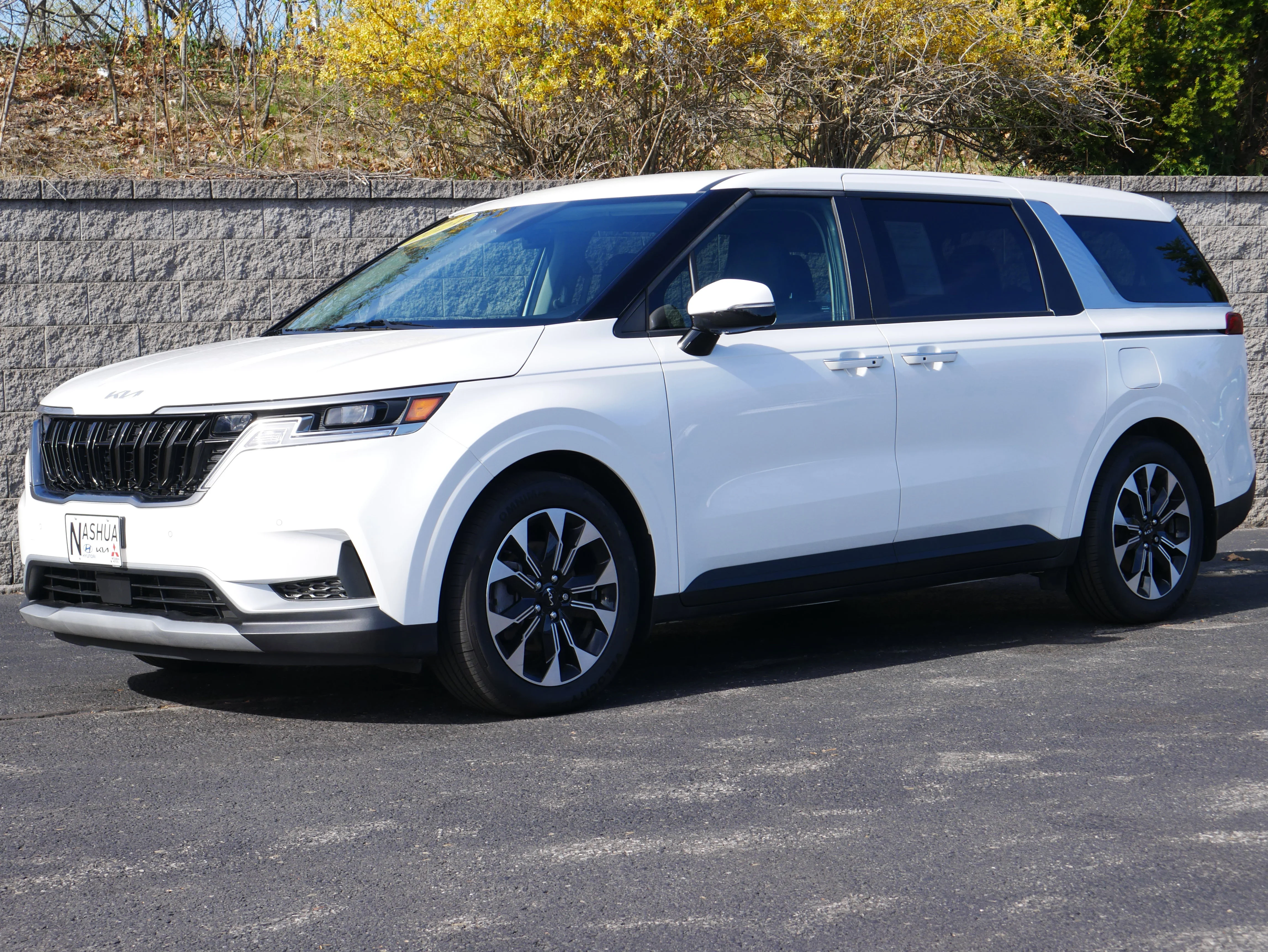 2024 Kia Sedona EX's photo