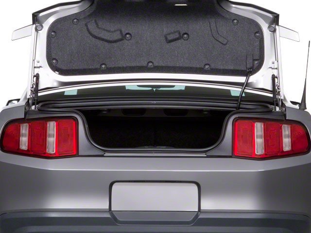 Used 2010 Brilliant Silver Metallic Ford GT Premium image 13