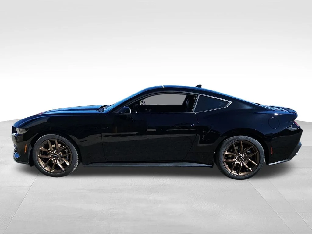 2025 Ford Mustang EcoBoost Premium Fastback - Photo 16