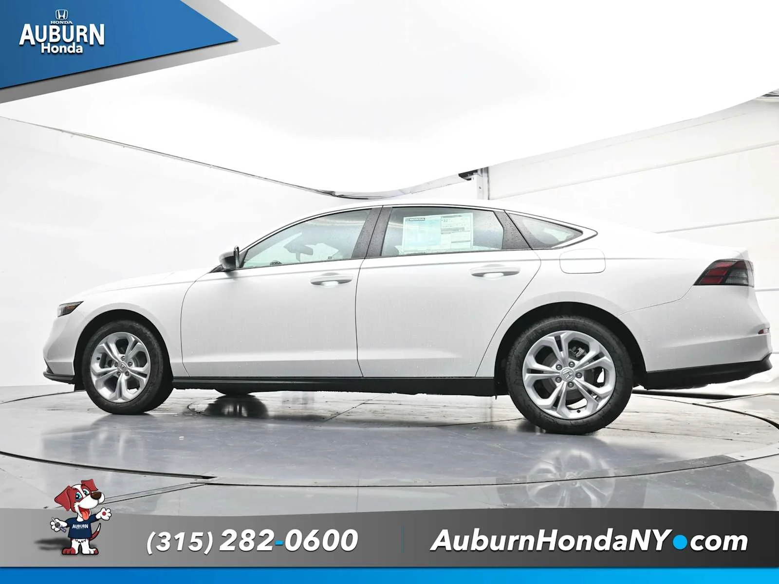New 2025 Platinum White Pearl Honda LX image 19