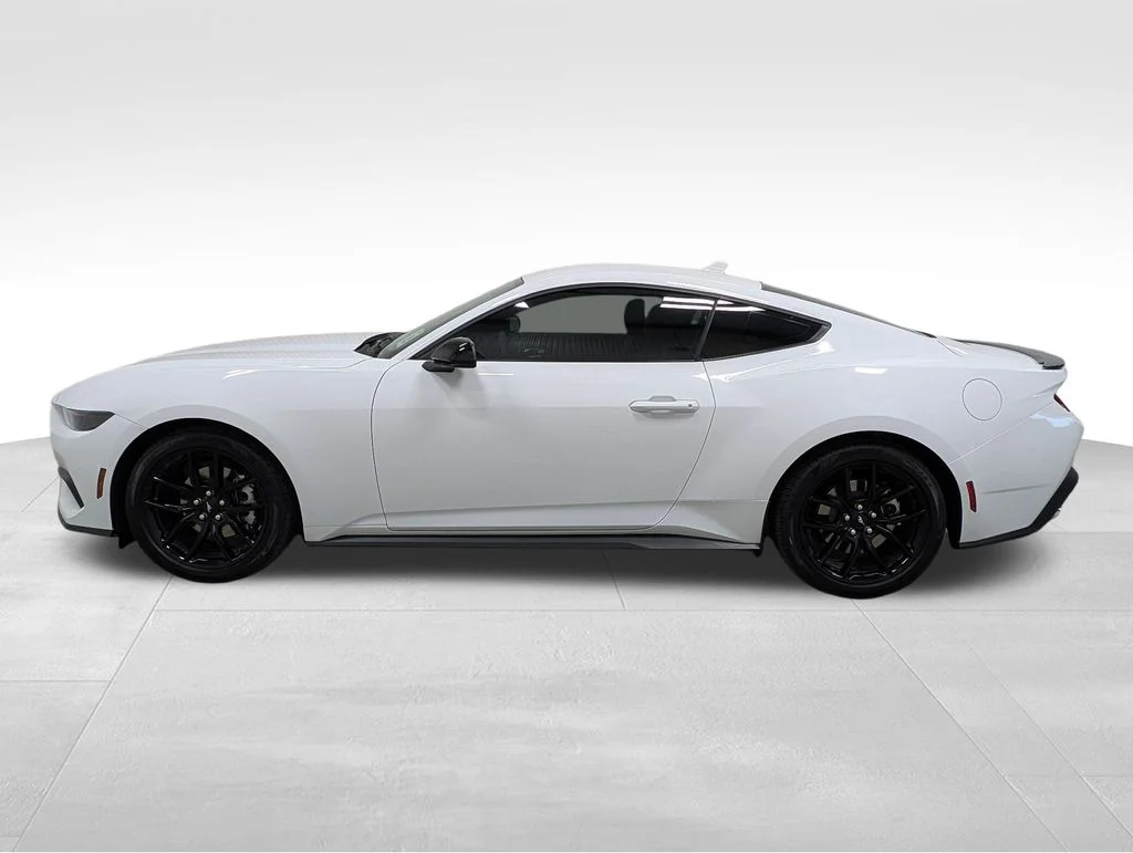 New 2026 Oxford White Ford EcoBoost® Premium Fastback image 1
