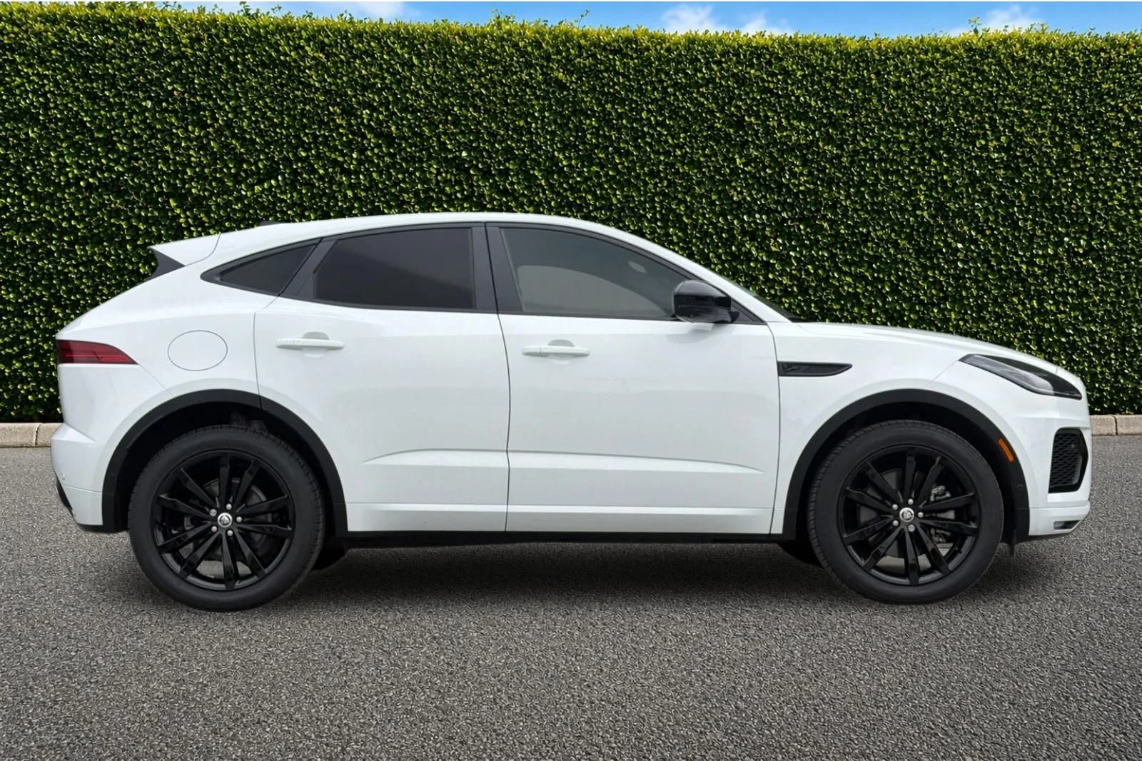 Used 2024 White Jaguar P250 image 3