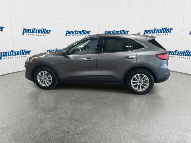 Used 2021 Gray Ford SE image 7