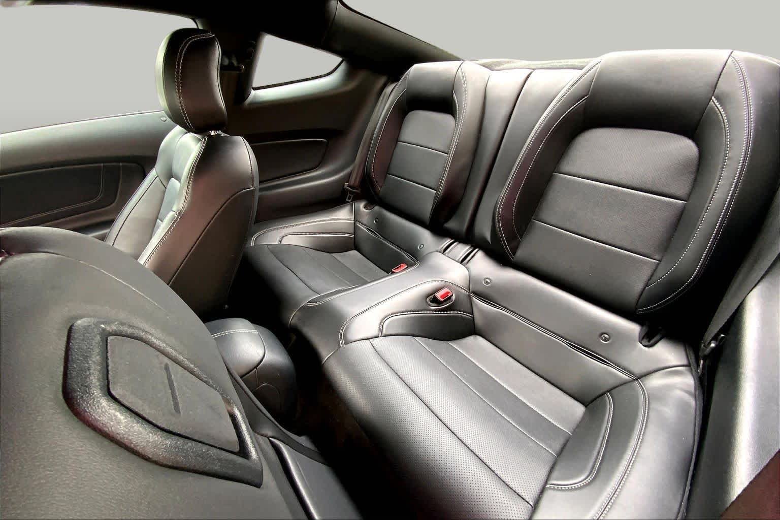 Used 2019 Magnetic Ford EcoBoost Premium image 17