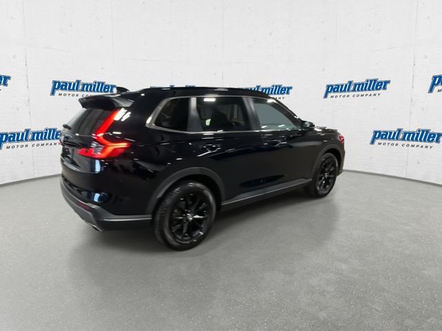 Used 2023 Black Honda Sport image 11
