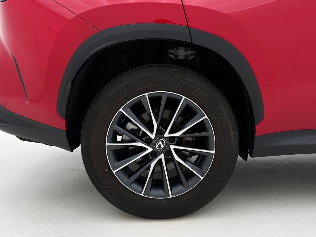2025 Lexus NX 350 - Photo 29