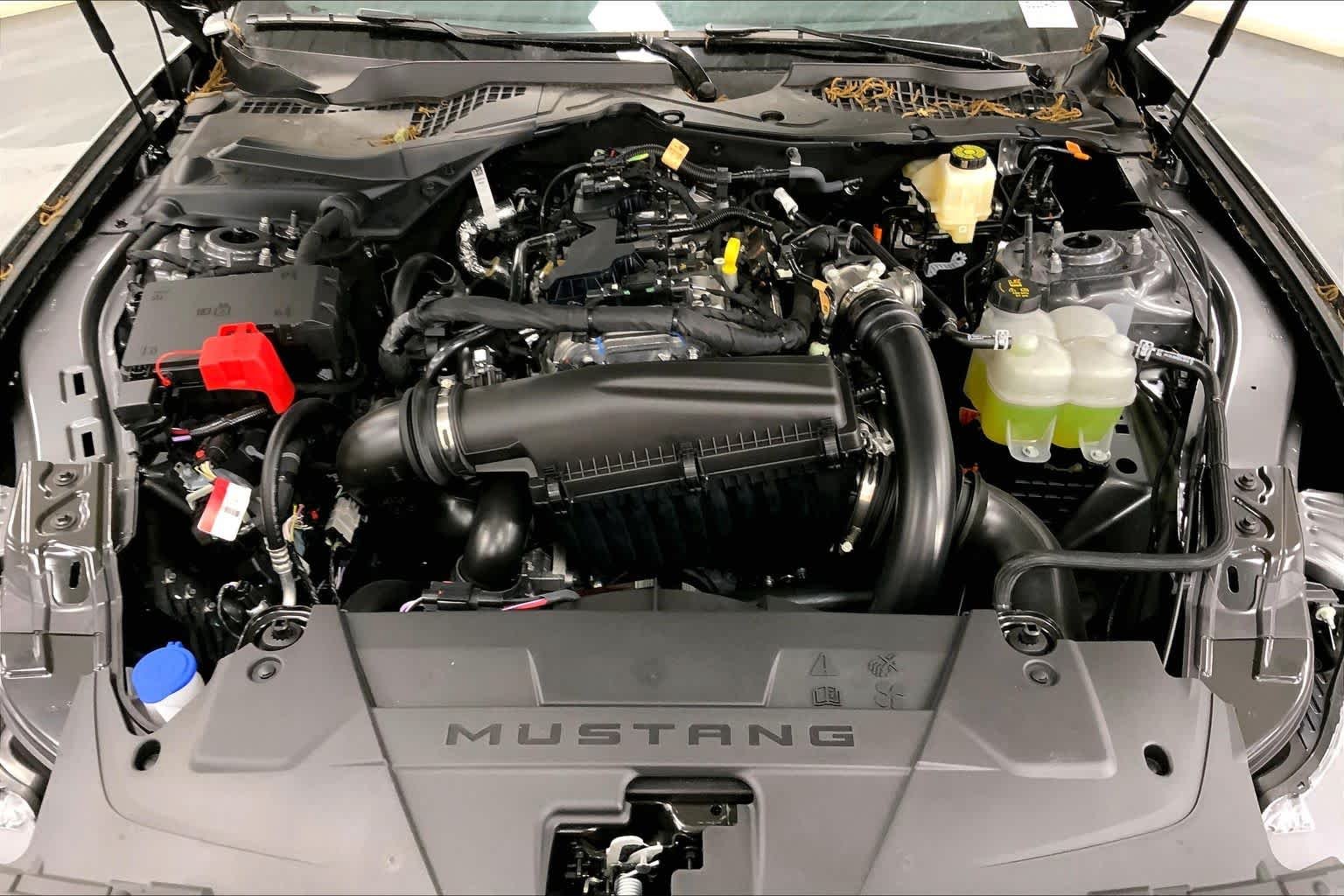 New 2026 Carbonized Gray Metallic Ford EcoBoost® Fastback image 15
