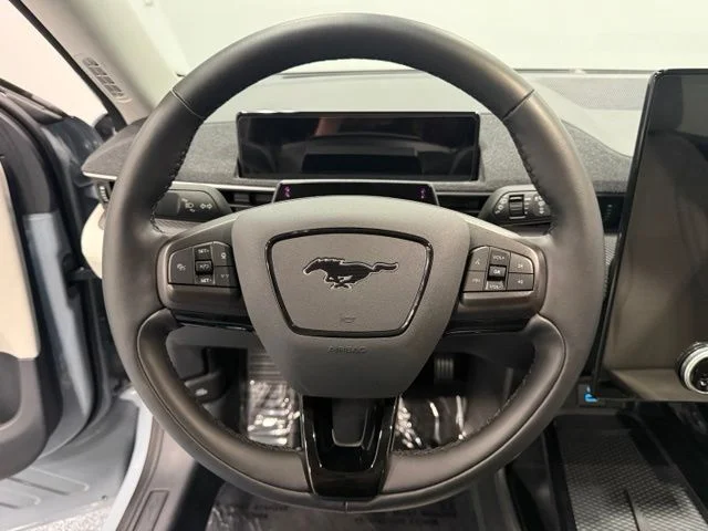 Used 2024 Gray Ford Premium image 19
