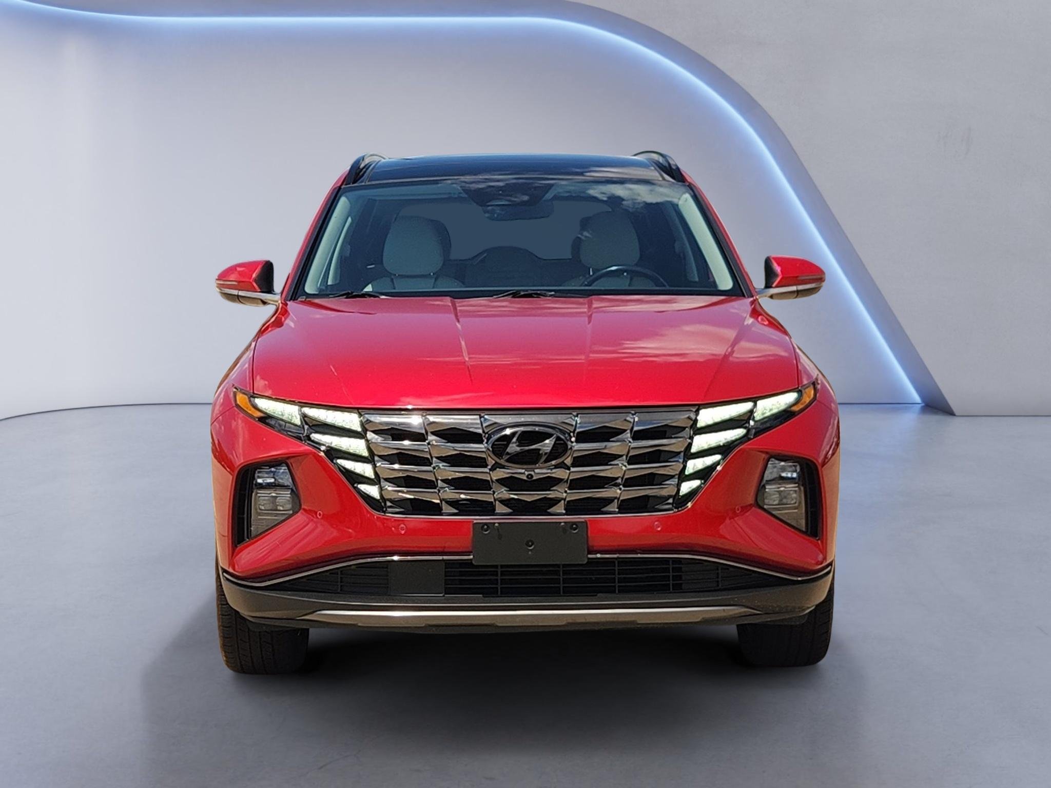 Used 2023 Calypso Red Hyundai Limited image 2