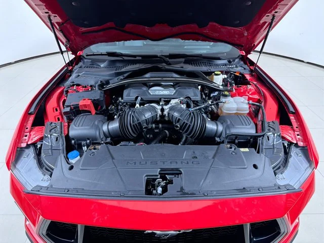 Used 2024 RACE RED Ford GT Premium 5.0L V-8 image 12