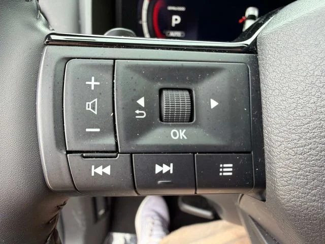 Used 2026 Black Nissan Platinum image 27