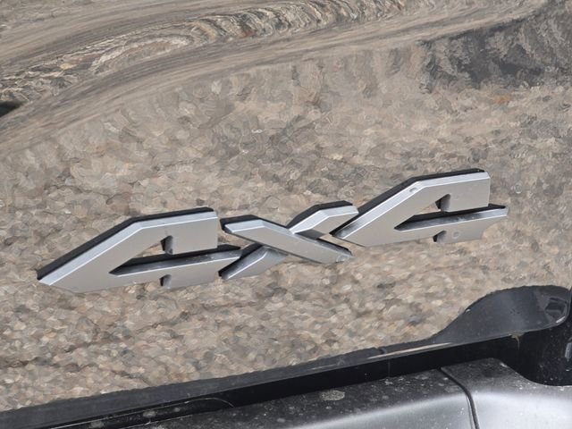 New 2026 Diamond Black Crystal Pearl-Coat Exterior Paint RAM Laramie image 30