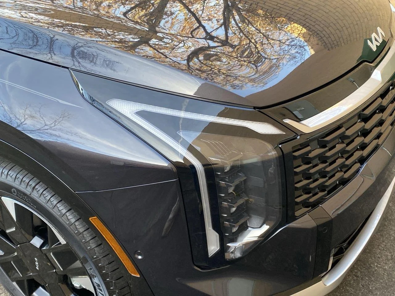 New 2026 Panthera Metal Kia SX-Prestige image 10