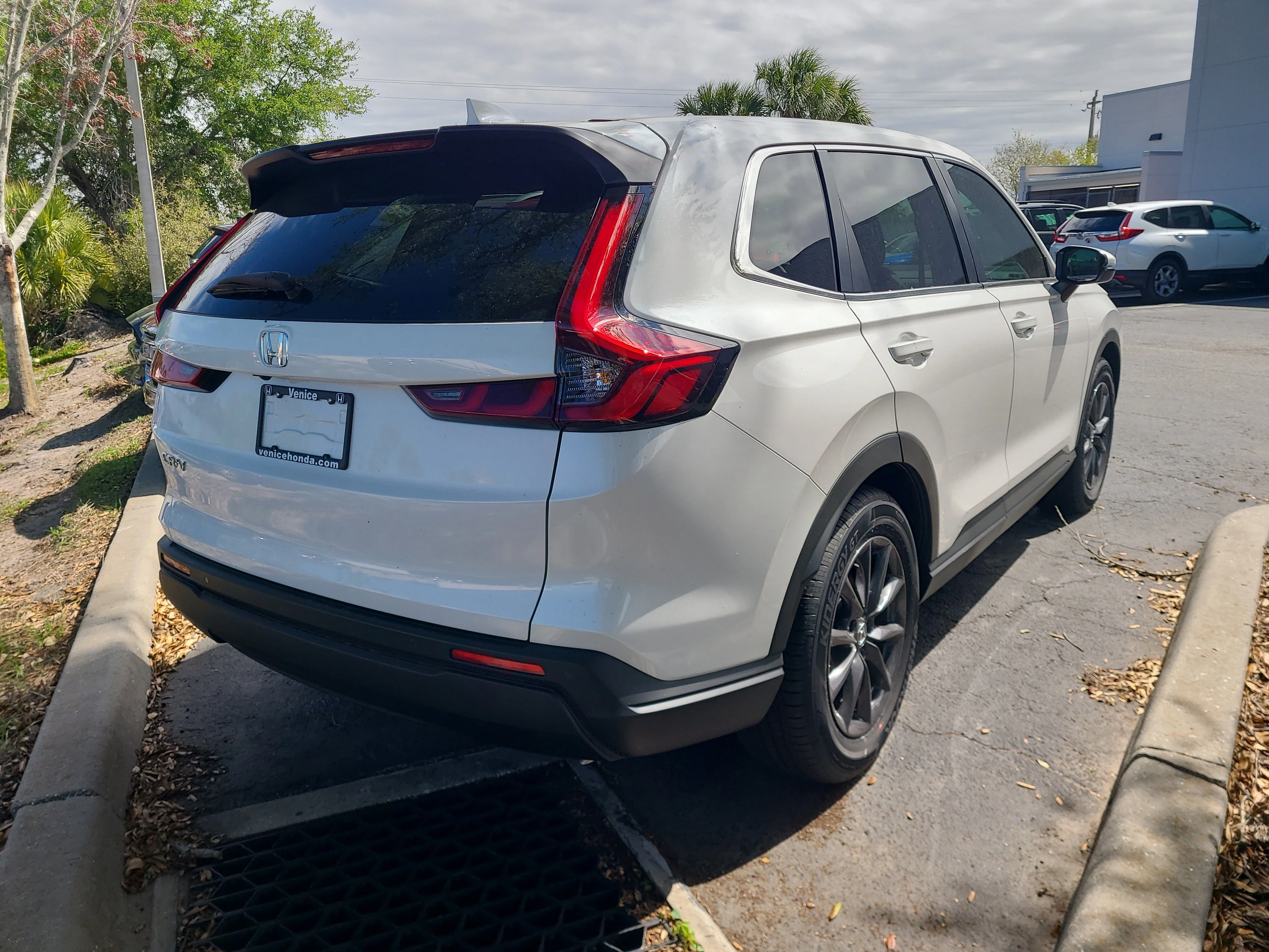 Used 2026  Honda EX-L image 5
