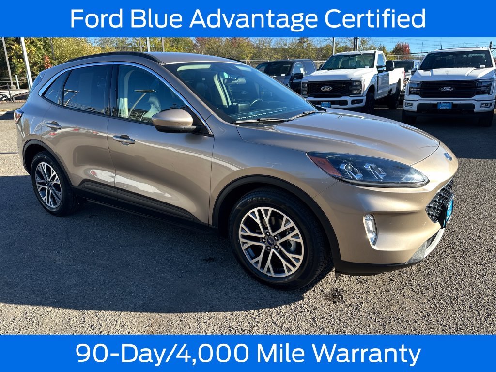 Used 2020 Gold Ford SEL image 10