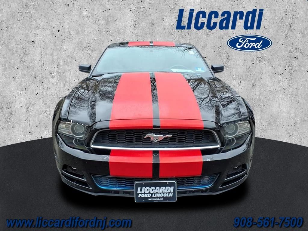 Used 2014 Ford Mustang V6 with VIN 1ZVBP8AM8E5267446 for sale in Watchung, NJ