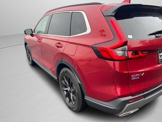 Used 2024 Radiant Red Metallic Honda Sport image 13