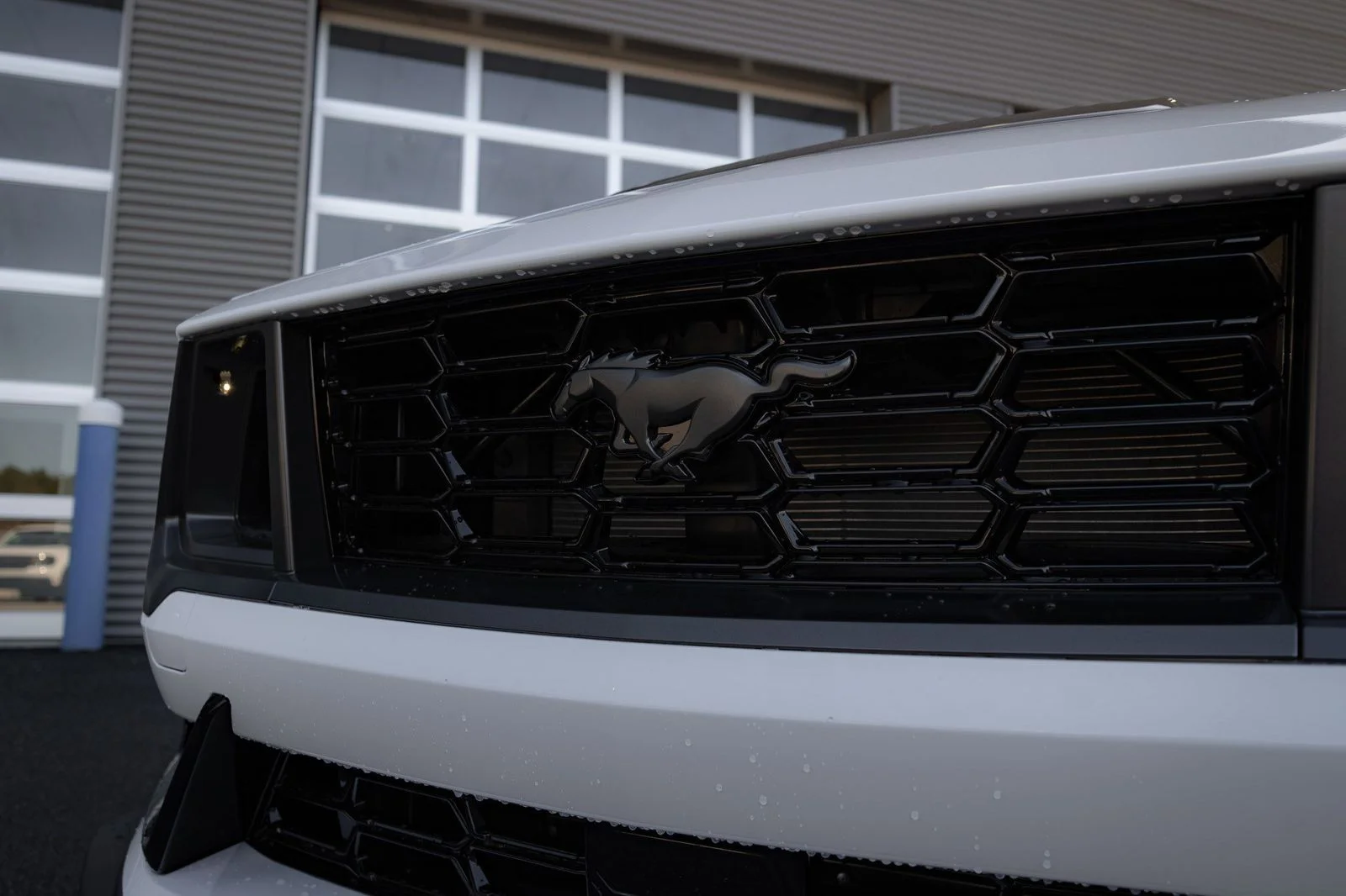 2025 Ford Mustang Dark Horse - Photo 14