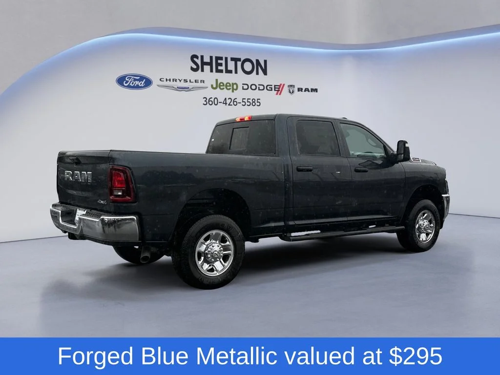 New 2026 Blue Ram Tradesman image 6