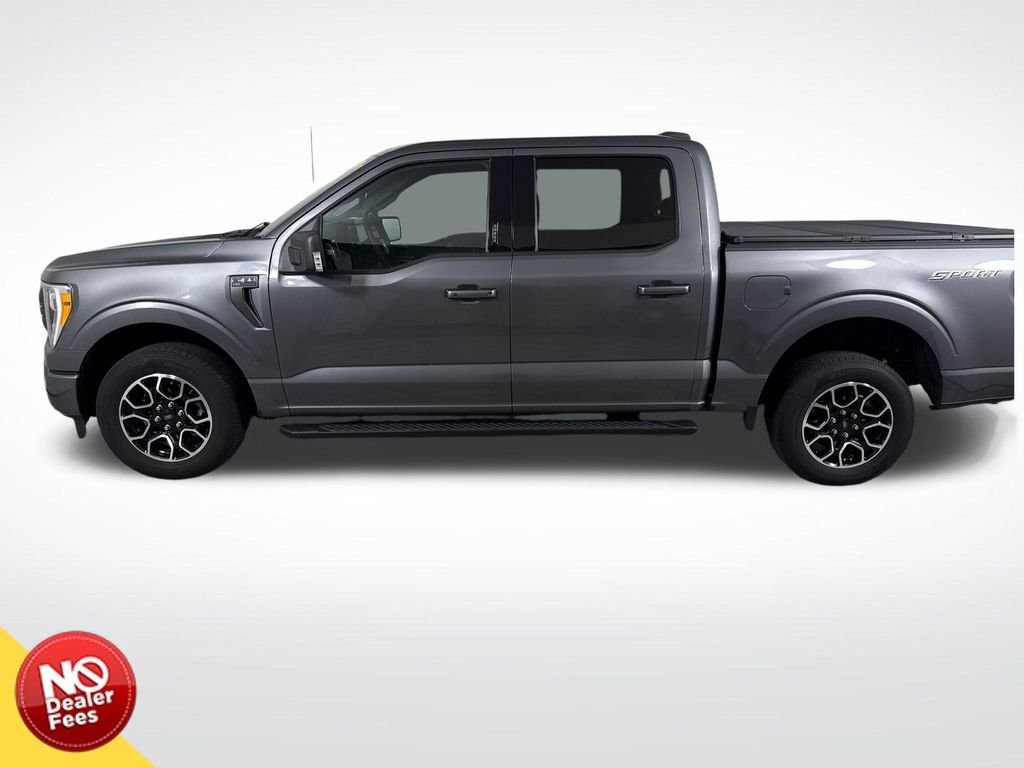 2023 Ford F-150 XLT - Photo 7