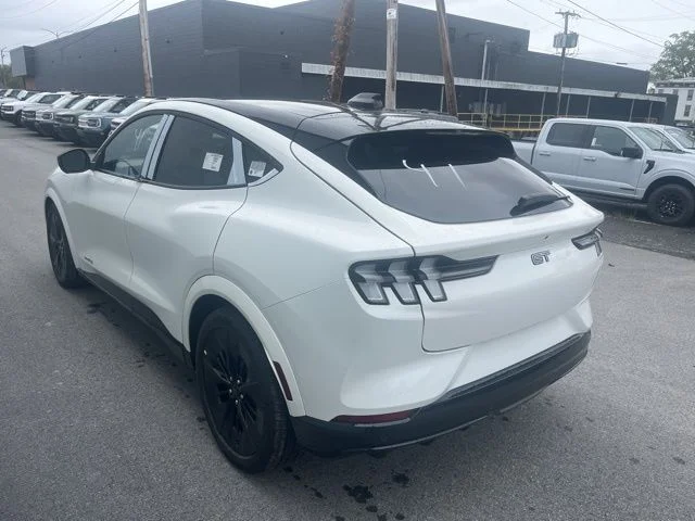 2025 Ford Mustang Mach-E GT - Photo 18