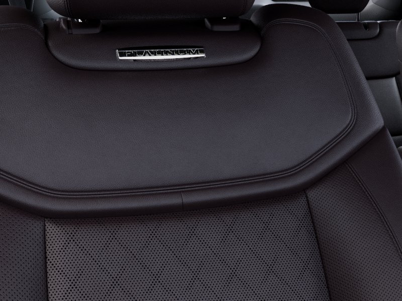 New 2027 Avalanche Gray Ford Platinum image 16