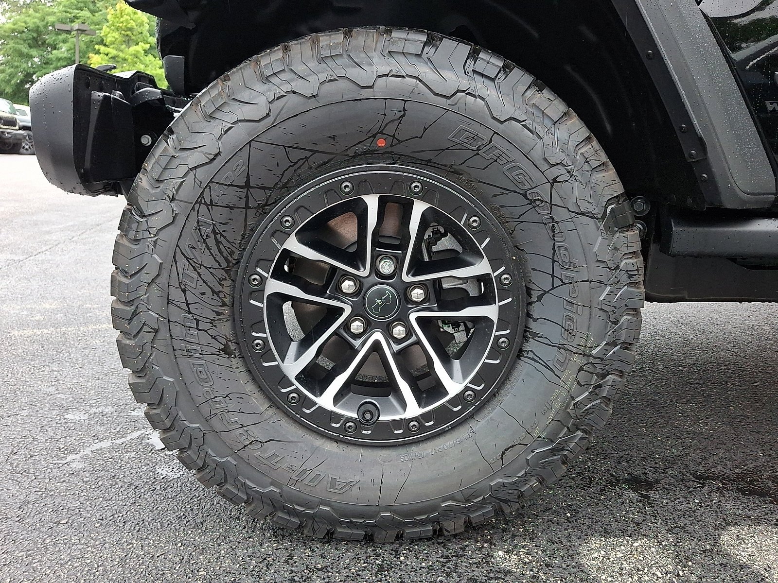 New 2026 Black Clear-Coat Exterior Paint Jeep Willys image 5