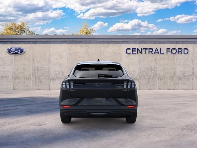 New 2026 Shadow Black Ford Premium image 5