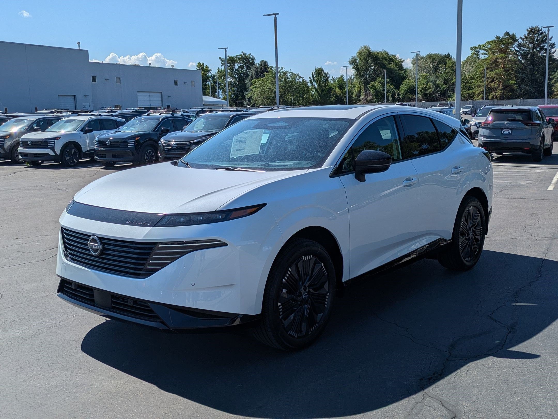 New 2026 Everest White Pearl TriCoat Nissan Platinum image 8