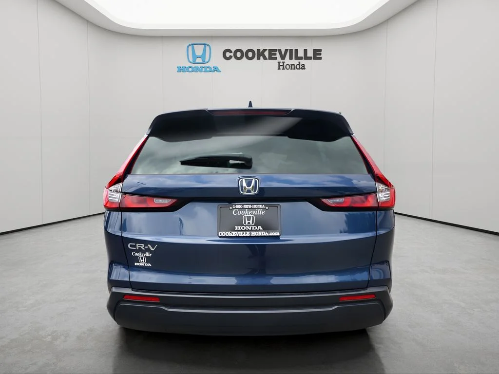 Used 2025 Canyon River Blue Met Honda EX image 6