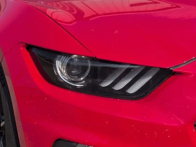 Used 2019 Race Red Ford Shelby GT350 image 10