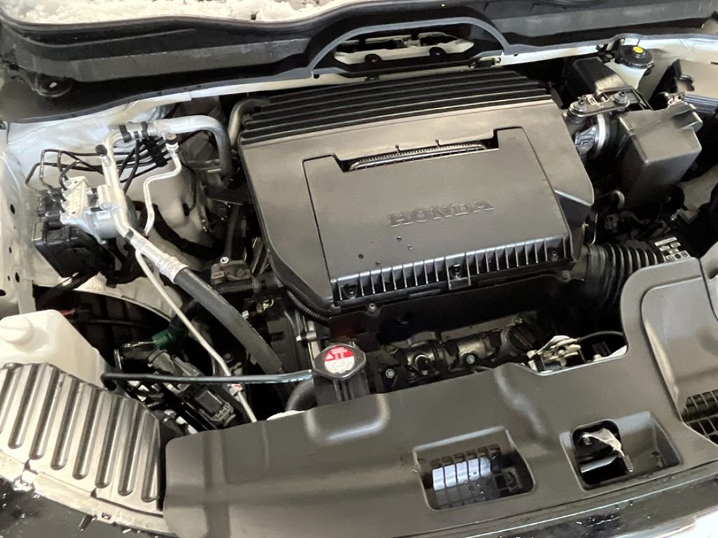 New 2026 Platinum White Pearl Honda RTL image 11