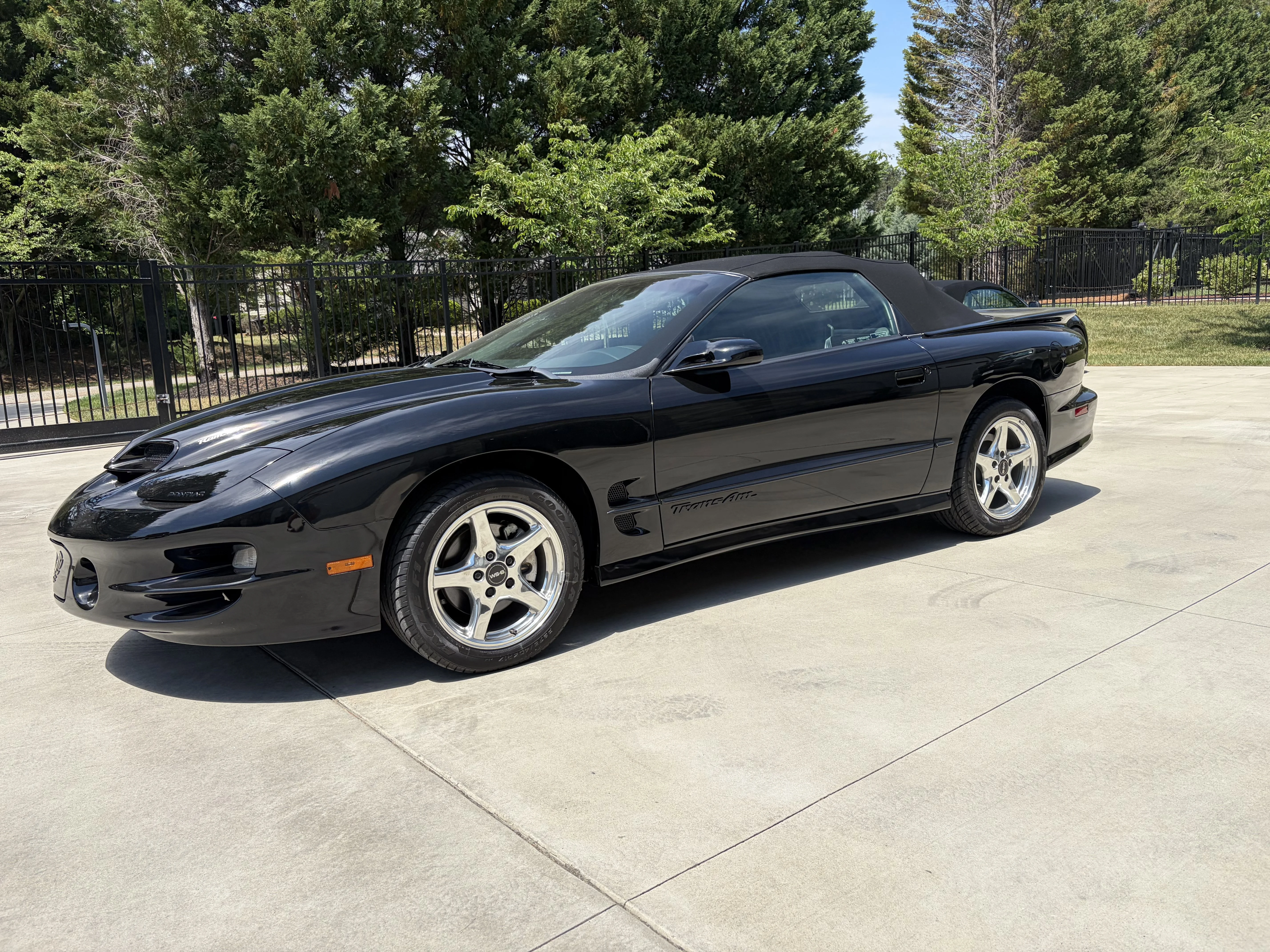 1998 Pontiac Firebird TRANS AM's photo