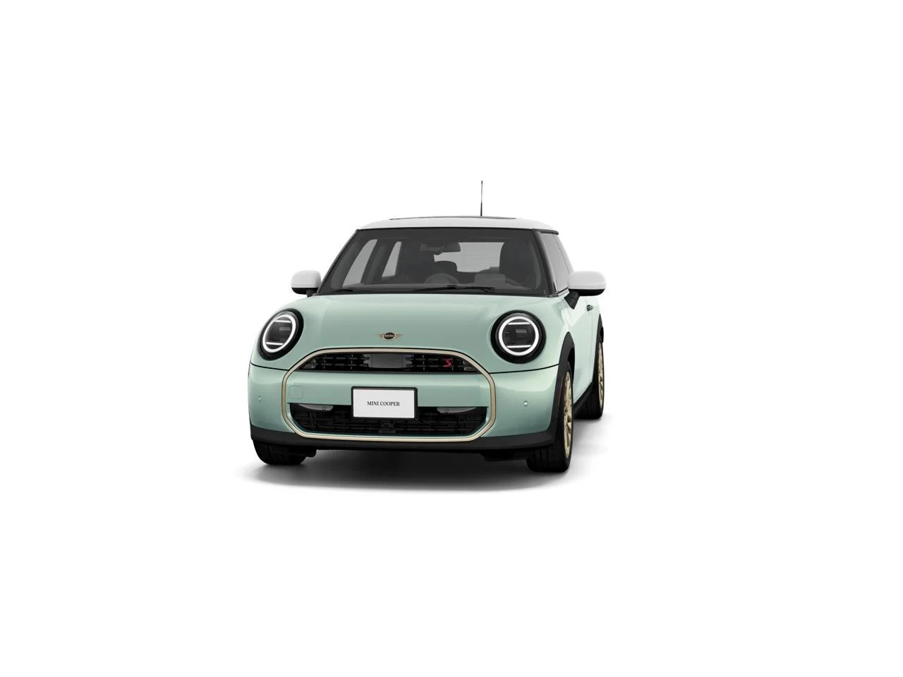 New 2026 Ocean Wave Green Metallic MINI Signature Plus image 3