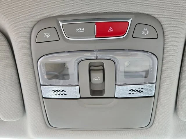 Used 2025 Everlasting Silver Kia EX image 28