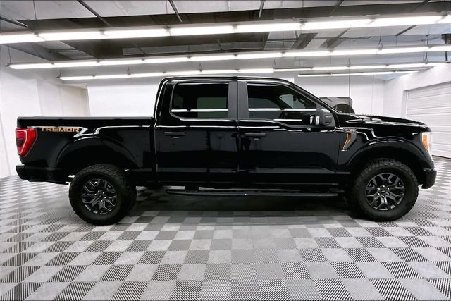 2022 Ford F-150 Tremor - Photo 16