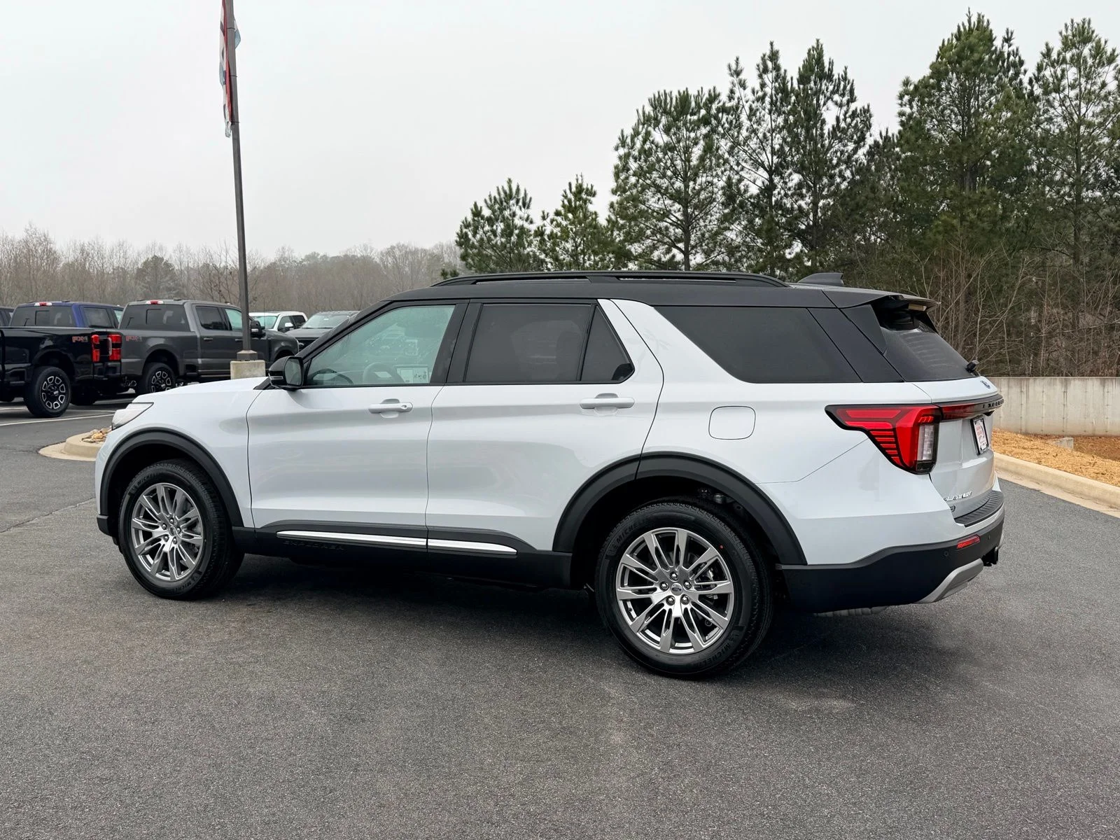 New 2026 White Ford Platinum image 13