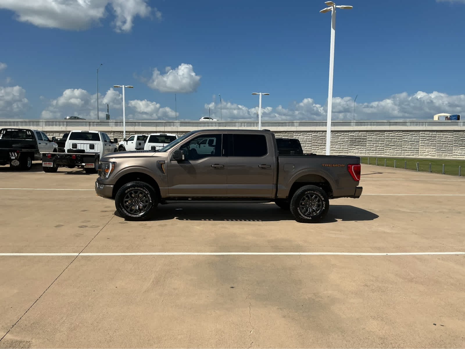 Used 2022 Stone Gray Metallic Ford Tremor image 9