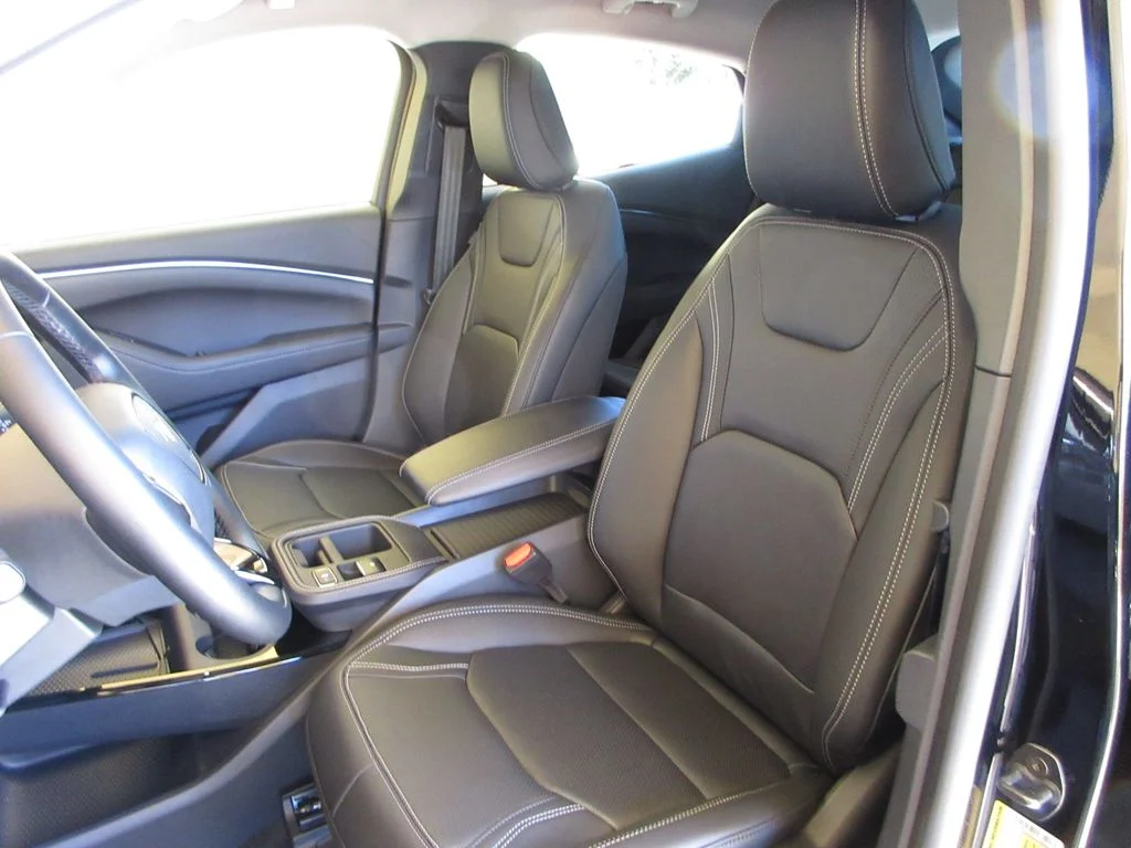 New 2026 Shadow Black Ford Premium image 11