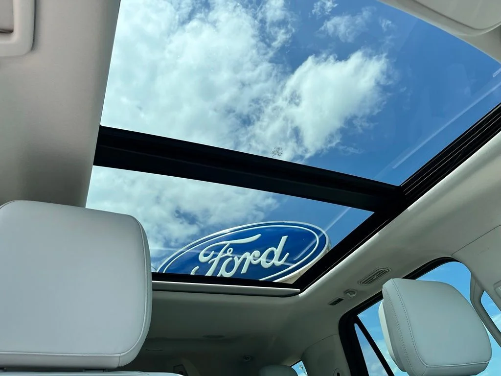 New 2027 Black Ford Platinum image 22