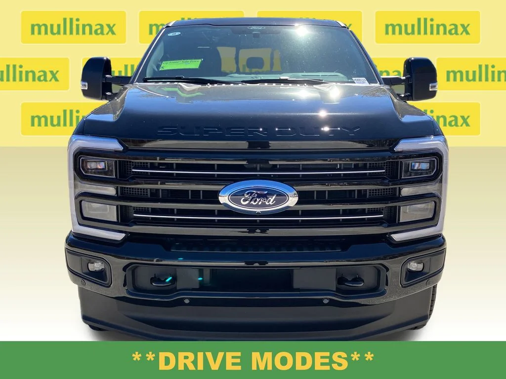 New 2026 Black Ford Platinum image 14