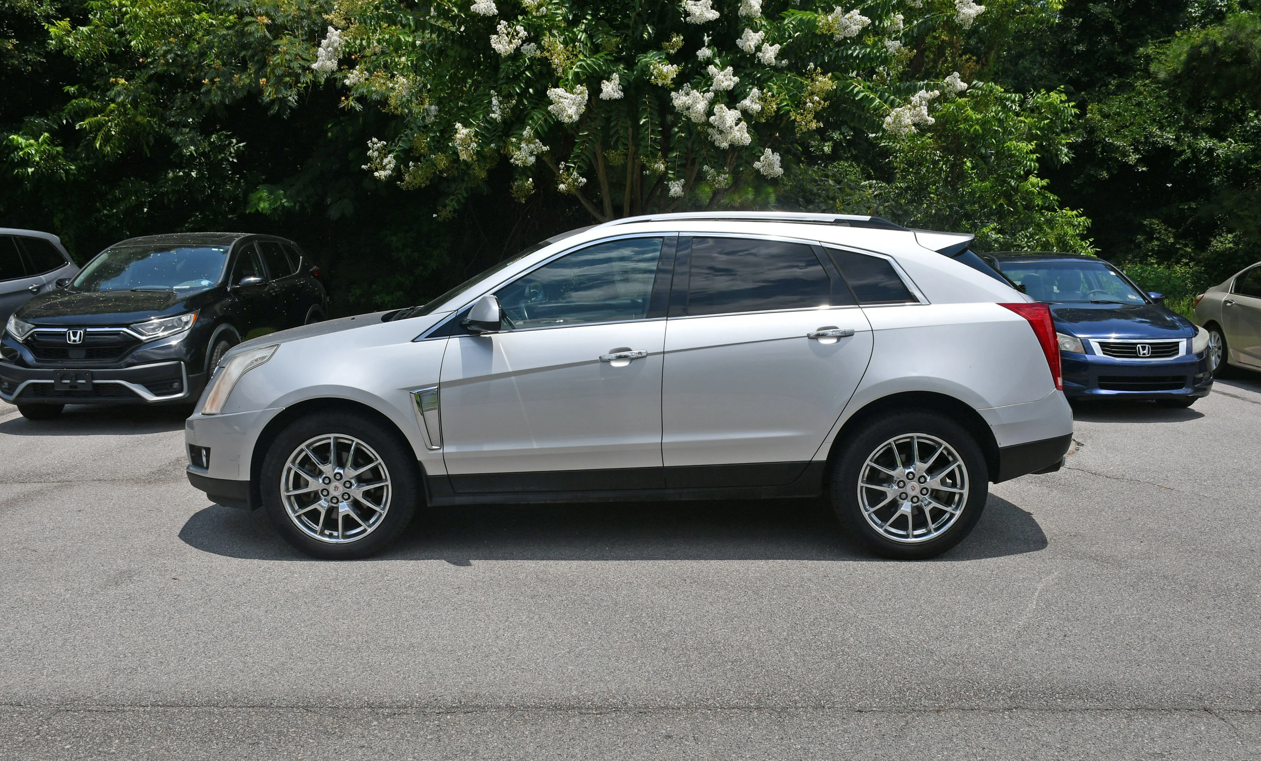 Used 2013 Cadillac SRX Performance Collection with VIN 3GYFNDE34DS551384 for sale in Beaufort, SC