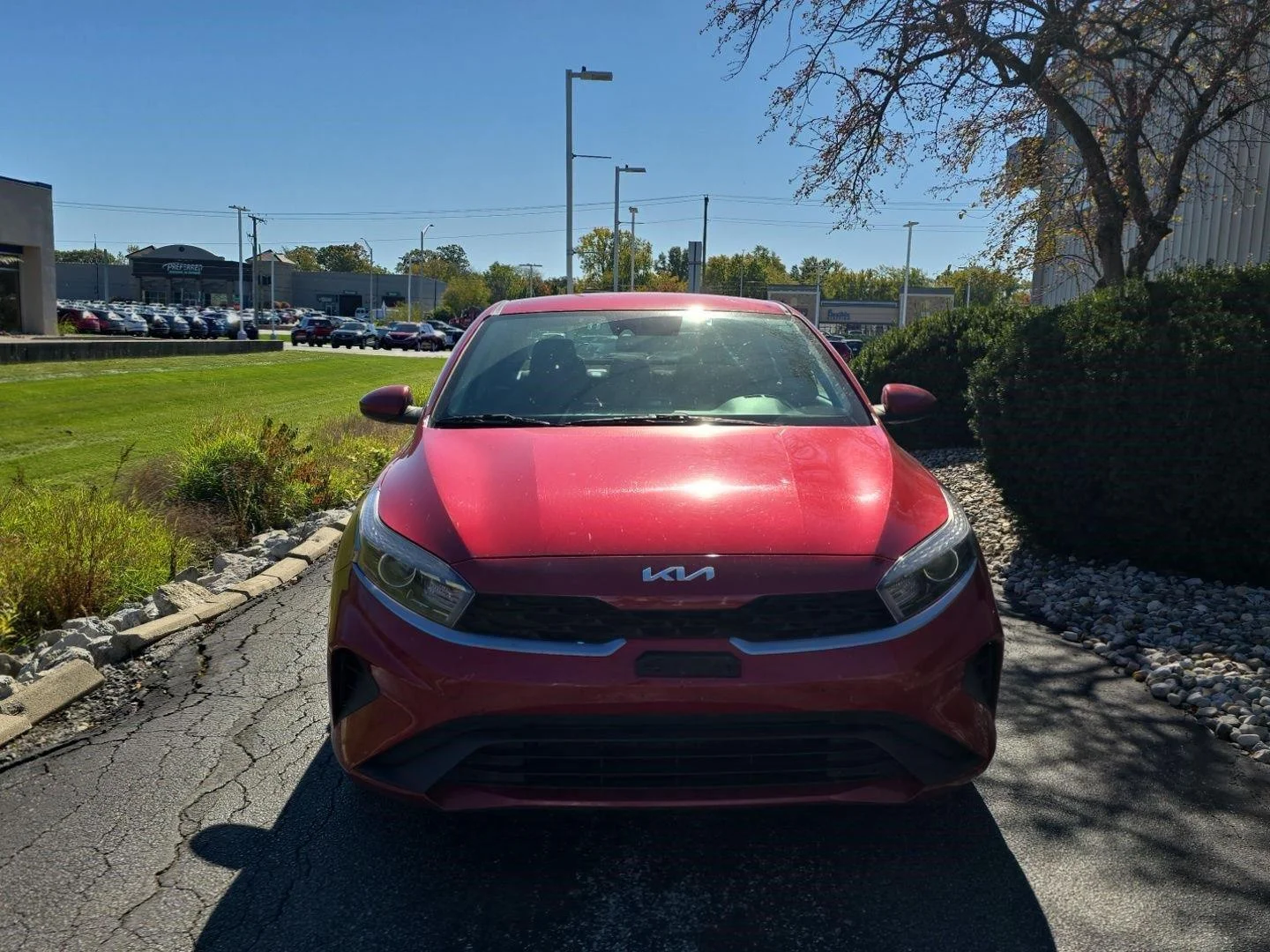 Used 2024 Currant Red Kia LXS image 2