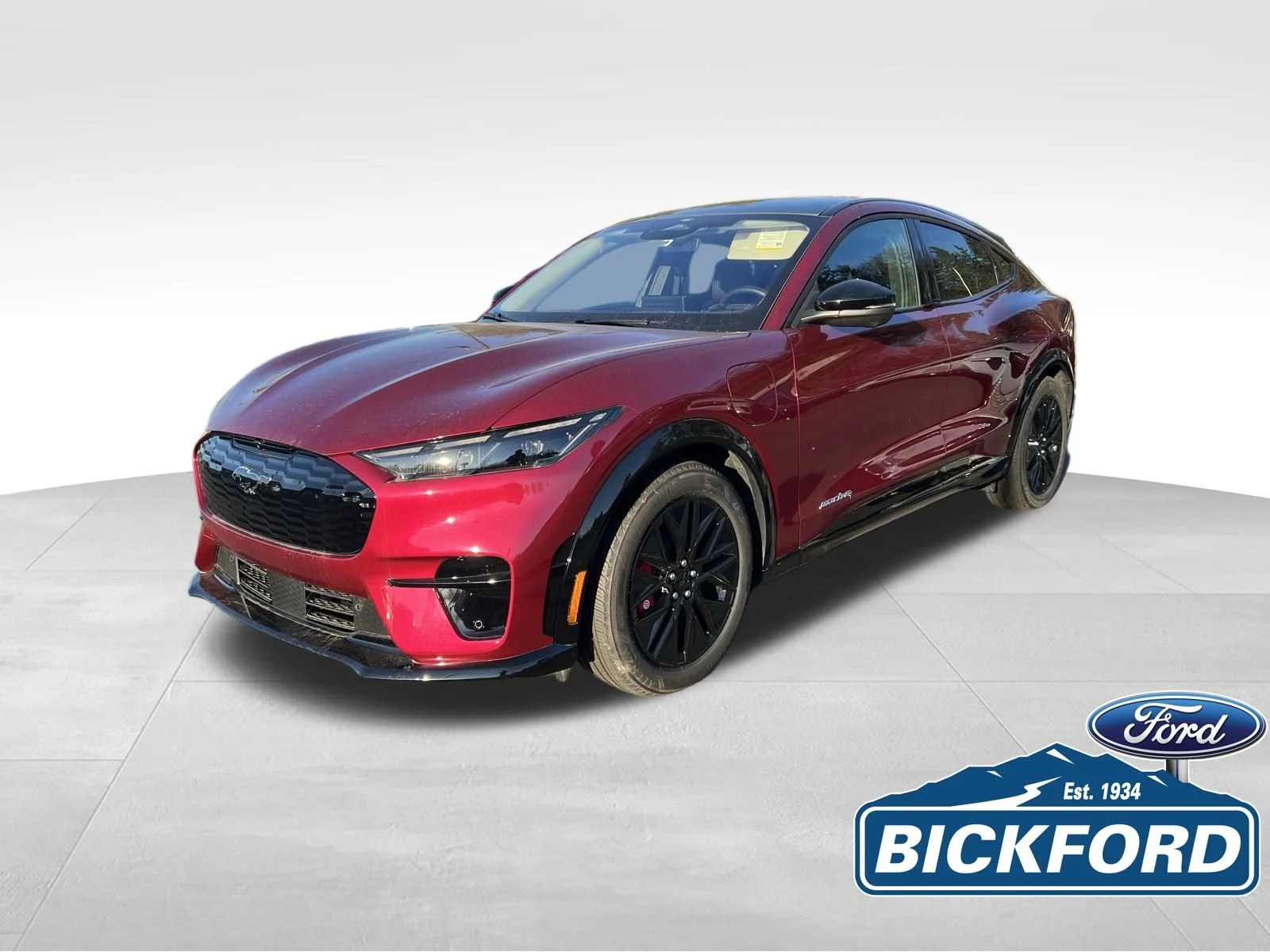 2025 Ford Mustang-Mach-e Premium's photo