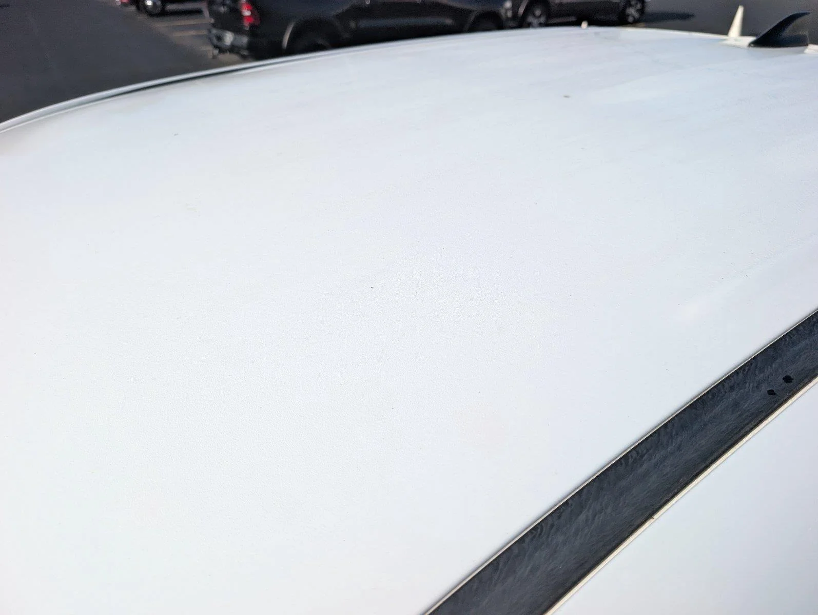 Used 2019 Super White Toyota TRD Off-Road image 13