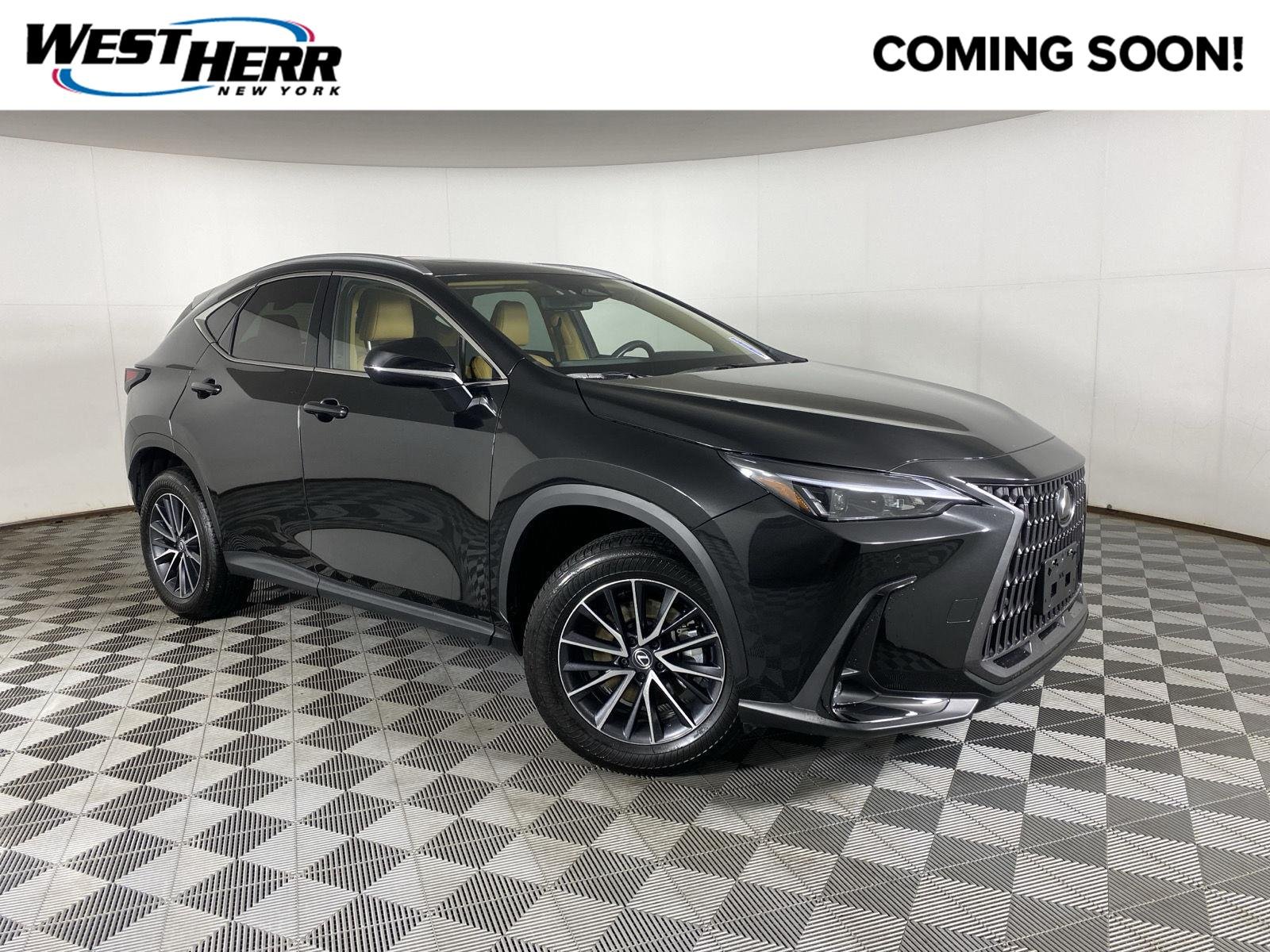 2024 Lexus NX